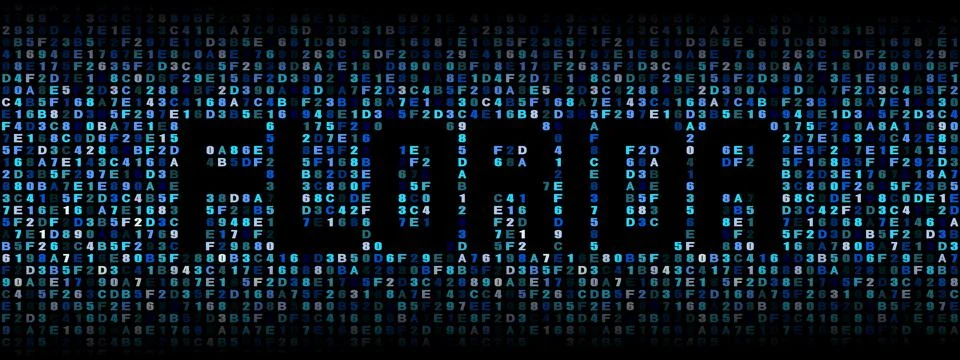 Florida text on hex code illustration Stock Illustration