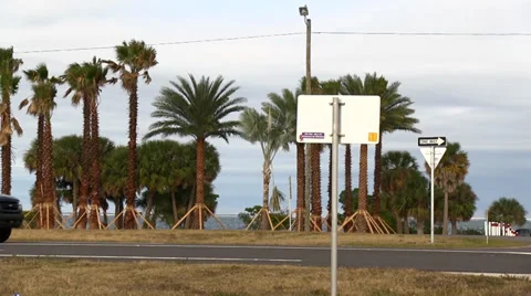 Florida traffic flying by palm trees Video stock 34085241
