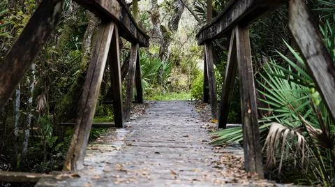 Florida Trail Bridge Stock Photos