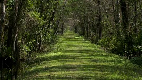 Florida trail Stock Photos