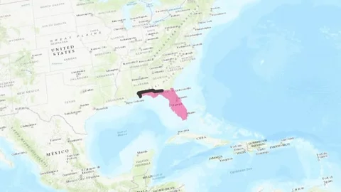 Florida United States Map Animation vector animation outline map motion graphic  Stock Footage 319384229