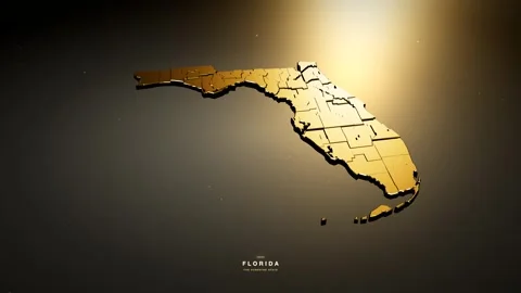 Florida USA 3D state map in gold style Stock Footage 341171896