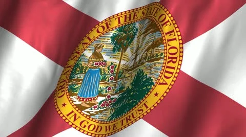 Florida Waving Flag Stock Footage 12259754
