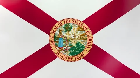 Florida Waving flag Stock Footage 297498091