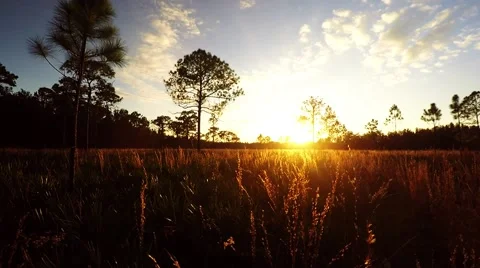 Florida wilderness sunset Stock Footage 57224244