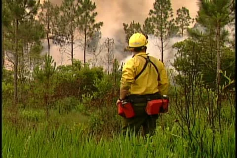 Florida Wildfires - 1998 Stock Footage 21842500