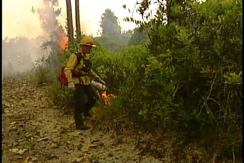 Florida Wildfires - 1998 Stock Footage 21842504