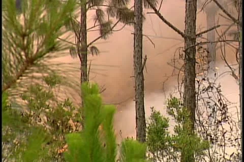 Florida Wildfires - 1998 Stock Footage 21842519