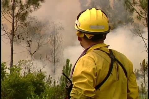 Florida Wildfires - 1998 Stock Footage 21842522
