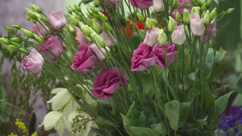Florist adding some beautiful flowers to the bouquet Stock Footage 73947431