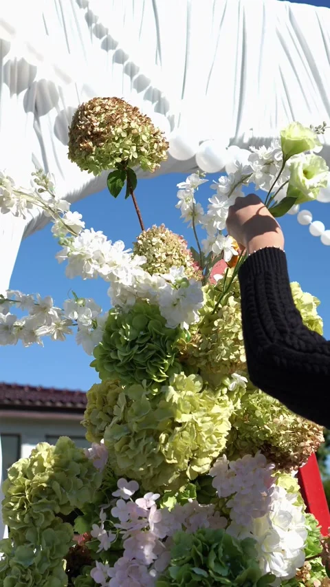Florist adds eustoma flower to Elegant wedding arch on podium with fabric, beads Stock Footage 318932727