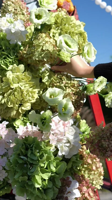 Florist adds eustoma flower to Elegant wedding arch on podium with fabric, beads Stock Footage 318932770