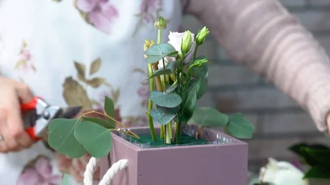 Florist in a apron making a flower composition with eustomas, hyacinths, peony  Stock Footage 86794835