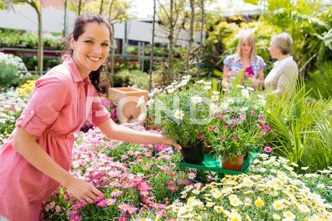 Florist arranging flower pots in garden store Stock Photos
