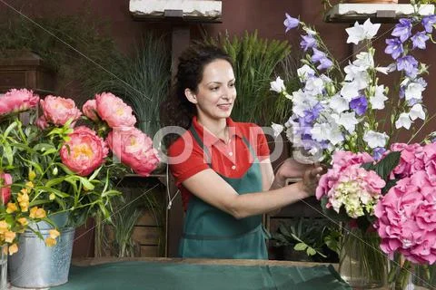 A florist arranging flowers Stock Photos