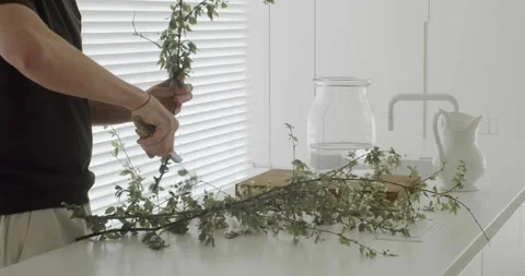 Florist arranging fresh cut branches in a vase Stock-Footage 345519509