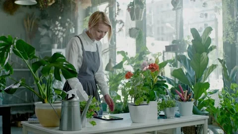 Florist Checks Plants With the Help of a Program on a Tablet. Video stock 135824652