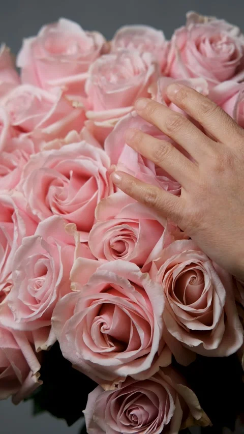 A florist creates a custom bouquet. Close-up of a bouquet of roses against a Stock Footage 319525354