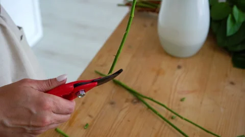 The florist cuts the stem of rose with a red pruner. Making a bouquet. Close-up. Vídeo Stock 245995835