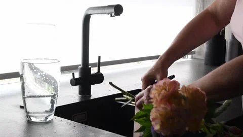 Florist cutting flower stems at the kitchen sink Stock Footage 338397496