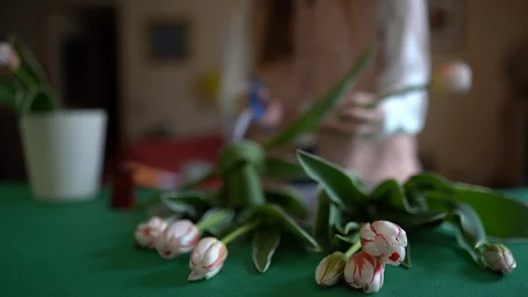 Florist cutting tulips stems with scissors and putting spring flowers in vase Stock Footage 129381248