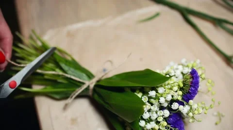 Florist Hands is Cutting Flower Stems with Scissors Stock Footage 63429070