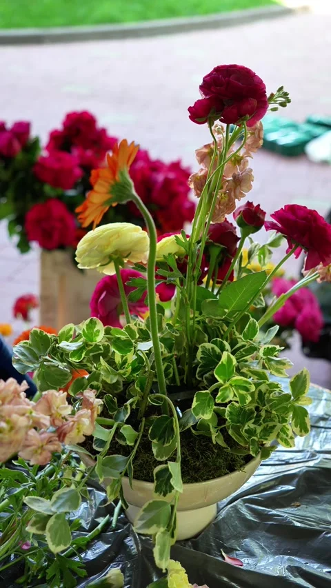 Florist inserts orange gerbera into a wedding multi-colored ekibana in a vase. w Stock Footage 318558074