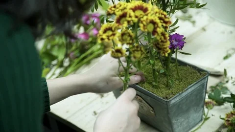 The florist inserts the stems of yellow flowers into the metal box Stock Footage 74019869