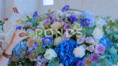 Florist making large floral basket with flowers at flower shop Stock Photos