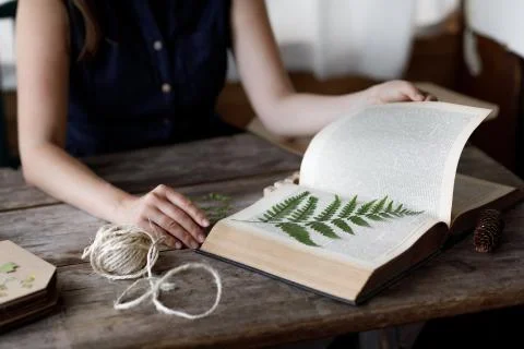 Florist nerd dries and harvests plants. The girl at work in the workshop of the Stock Photos