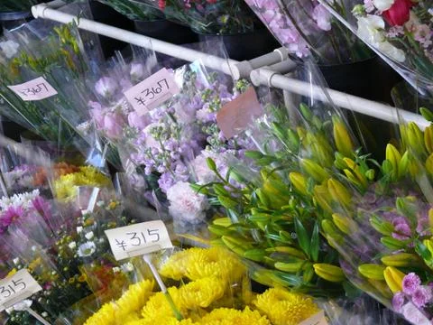 Florist 库存照片