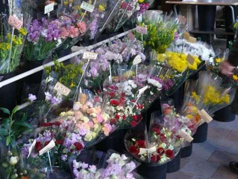 Florist 库存照片
