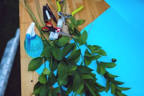Florist Stock Photos