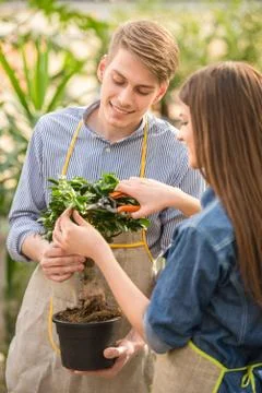 Florist Stock Photos