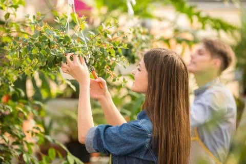 Florist Stock Photos