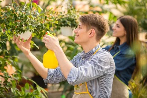 Florist Stock Photos