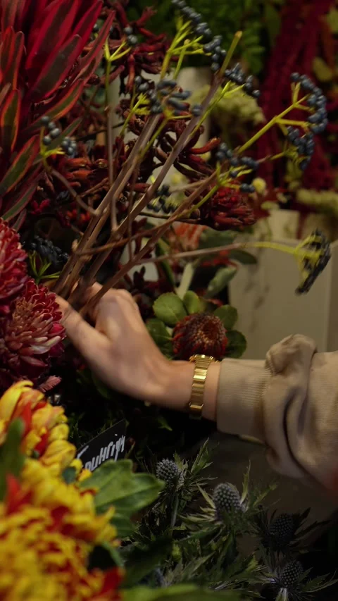 Florist picks blue berries to create a bouquet. Autumn atmospheric flower arrang Stock Footage 318554164