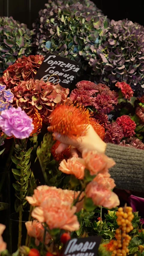 A florist picks a nutan flower to create a bouquet. An atmospheric autumn floral Stock Footage 318553810