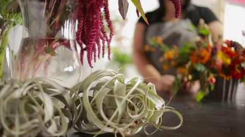 Florist prepares a bouquet of flowers for sale to customers Stock Footage