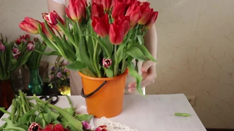 Florist preparing floral decor, springtime offerings, retail flower business. Stock Footage 269360750
