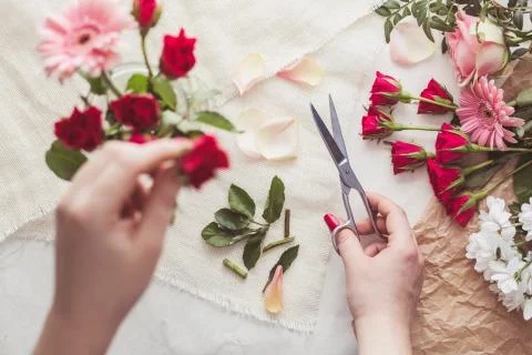 Florist preparing flowers Stock Photos