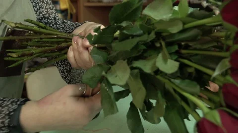 The florist processes and makes a bouquet of scarlet red maroon roses Stock Footage 123684932
