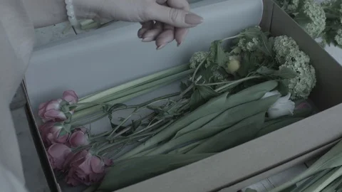 Florist puts inside cardboard box flowers (no colorgraiding) Stock Footage 127979520