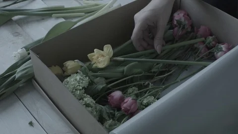 Florist puts inside cardboard box flowers (no colorgraiding) Stock Footage 127979540