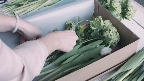 Florist puts inside cardboard box flowers Stock Footage 128138792