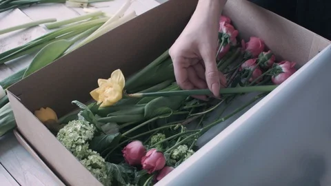 Florist puts inside cardboard box flowers 库存影片 128138828