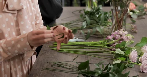 Florist Rip Off Leafs From Green Stock Footage 124575011