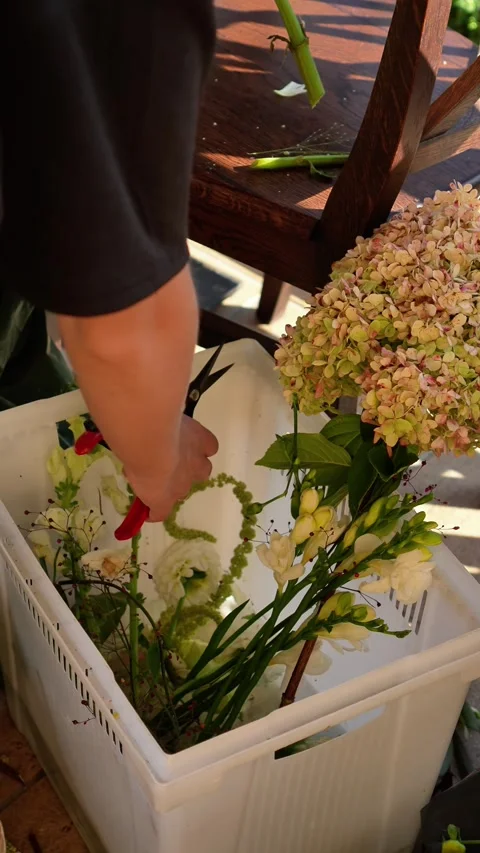 Florist takes a flower from a plastic container and cuts the flower stem to form Stock Footage 318922193