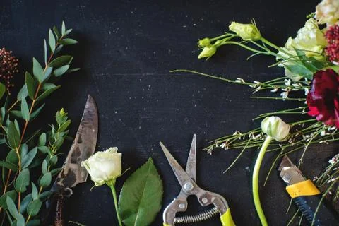 Florist tool on the table Stock Photos