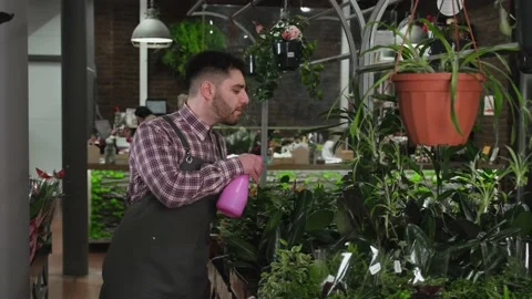 The florist walks between the rows of plants and cares for them 库存影片 170875728